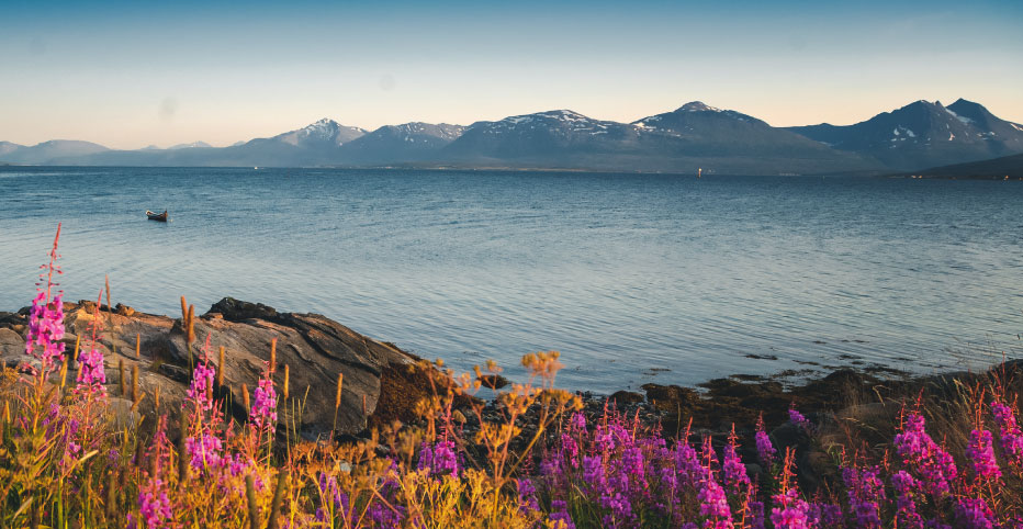 Åpningstider sommer 2021